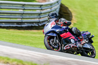 PJ-Motorsport-2019;anglesey;brands-hatch;cadwell-park;croft;donington-park;enduro-digital-images;event-digital-images;eventdigitalimages;mallory;no-limits;oulton-park;peter-wileman-photography;racing-digital-images;silverstone;snetterton;trackday-digital-images;trackday-photos;vmcc-banbury-run;welsh-2-day-enduro